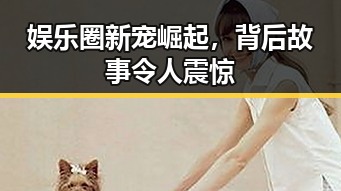 娱乐圈新宠崛起，背后故事令人震惊
